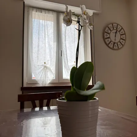 Alfredo's House Apartment Verona