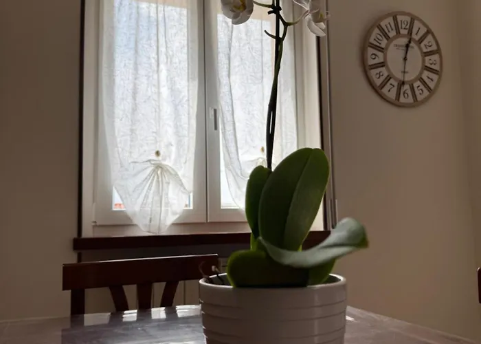 Alfredo's House شقة فيرونا